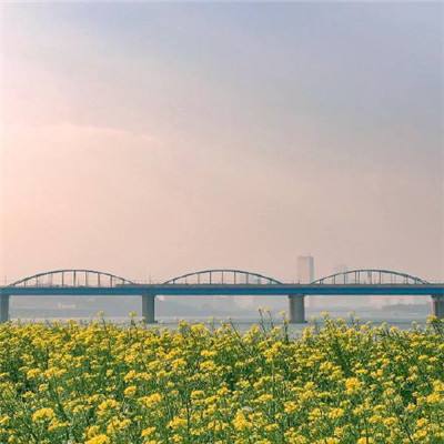 深中通道通车引发渤海湾网友羡慕，山东、辽宁距离这么近，为什么不建桥？