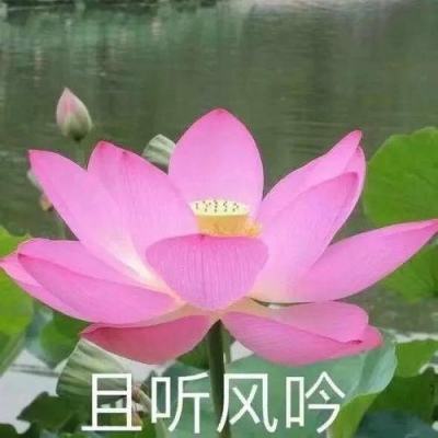 甘肃省纪委通报4起违反中央八项规定精神典型问题